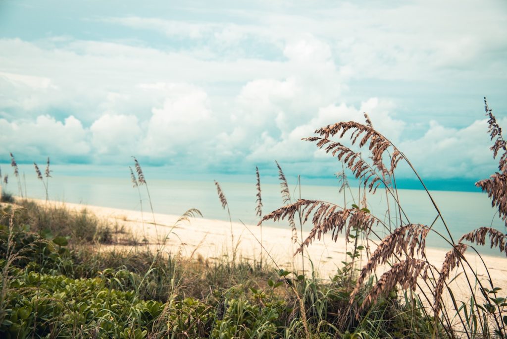 Bonita Springs beach